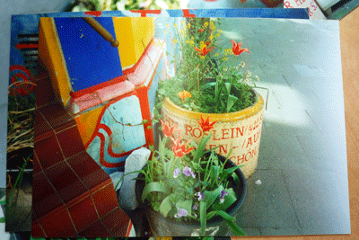 Dieses Bild ist urheberrechtlich gesch&uuml;tzt, Eva Gottwald Hamburg 2009