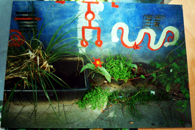 Dieses Bild ist urheberrechtlich gesch&uuml;tzt, Eva Gottwald Hamburg 2009