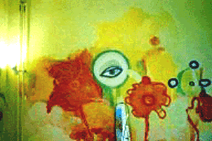 Dieses Bild ist urheberrechtlich gesch&uuml;tzt, Eva Gottwald Hamburg 2009