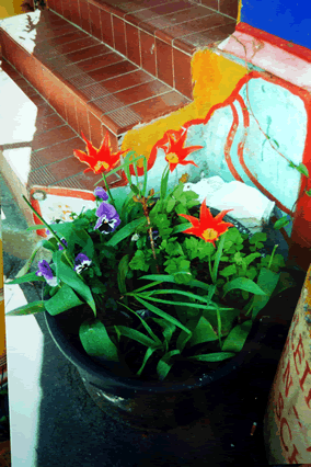 Dieses Bild ist urheberrechtlich gesch&uuml;tzt, Eva Gottwald Hamburg 2009